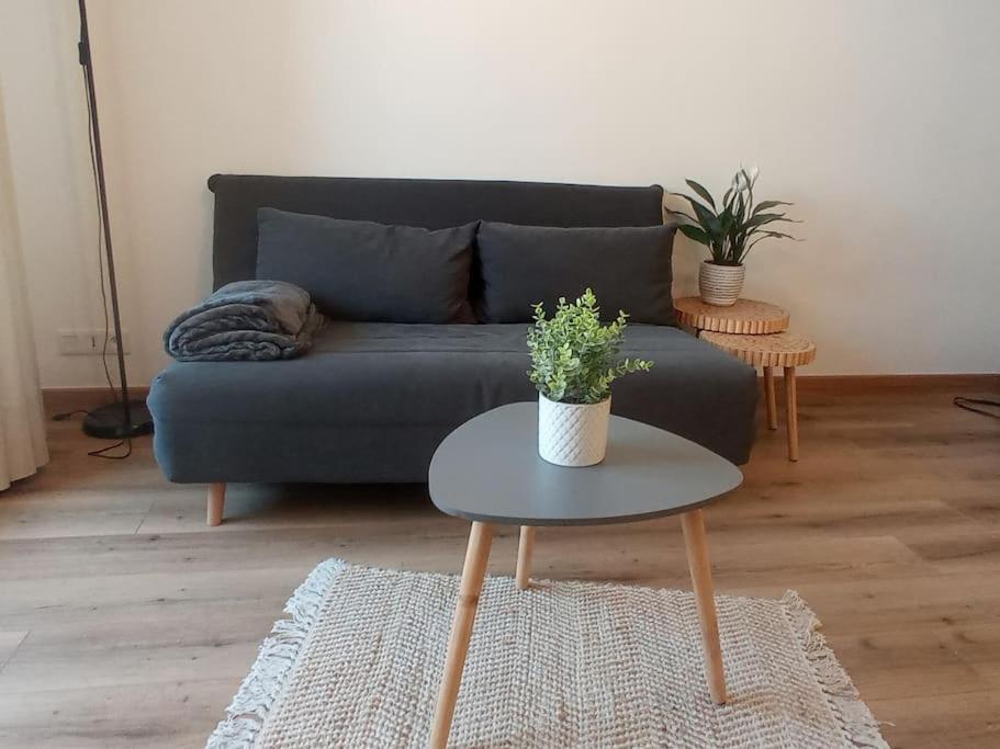 A 50 M De La Plage, Appartement De 35 M2 : Les Pieds Sales Bréhal Exterior foto